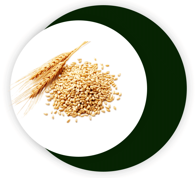 Sustainable Agriculture and Livestock Development in Africa